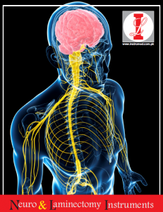 neuro and laminectomy